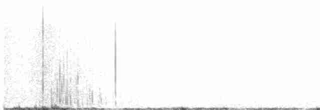 Perija Thistletail - ML533531891