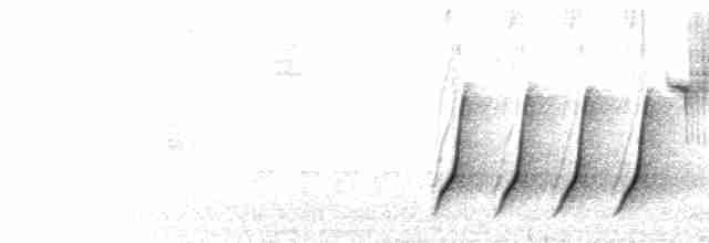  - Puerto Rican Bullfinch