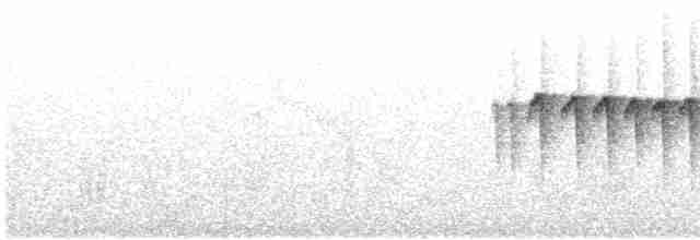 Kurzschwanz-Dickichtschlüpfer - ML533573221