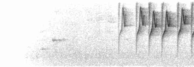  - Lesser Antillean Bullfinch