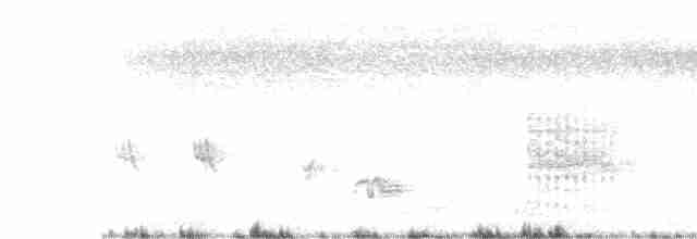 Blyth's Reed Warbler - ML533584041