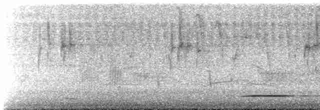 Gray Tinamou - ML533599211