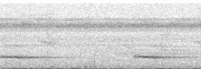 Channel-billed Toucan (Yellow-ridged) - ML53360