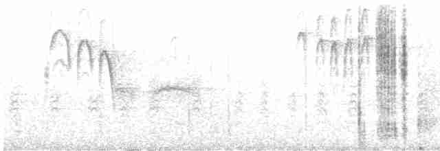 Mountain Chickadee - ML533603211