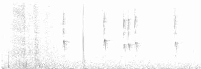 Troglodyte des forêts - ML533669511