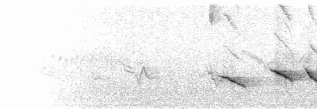 ML533676 visualization
