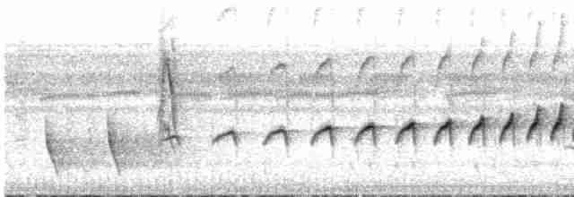 Südamazonien-Ameisenschnäpper - ML533684601