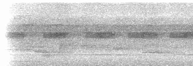 Rotschwanz-Ameisenvogel (hemimelaena) - ML533686401