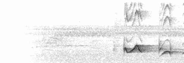 ML533689 visualization