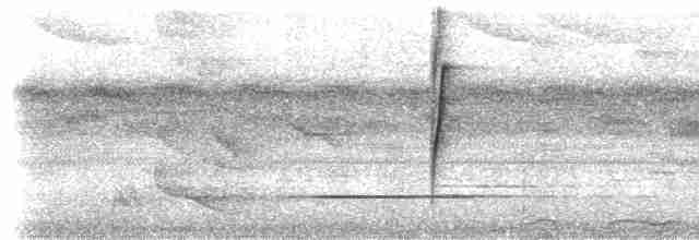 Белобородый колибри-отшельник - ML533692101
