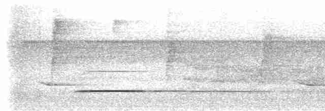 Cinereous Tinamou - ML533694411