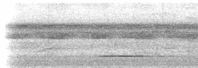 Tinamou de Bartlett - ML533694421