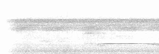 Bluish-slate Antshrike - ML533695461