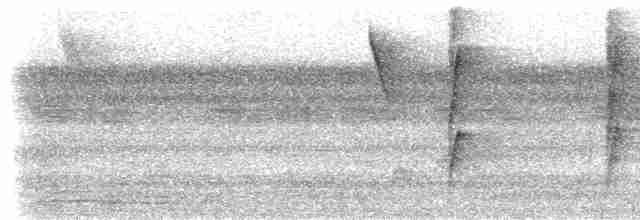Kuzeyli Kestanerengi Karıncakuşu (hemimelaena) - ML533698311