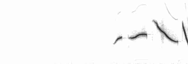  - Rufous-collared Sparrow