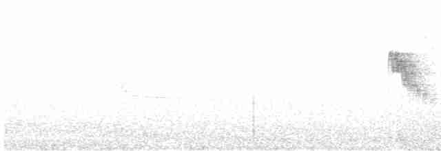Vorgebirgs-Olivtyrann (coopmansi) - ML533804791