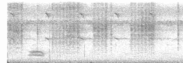 Clamorous Reed Warbler - ML533812871