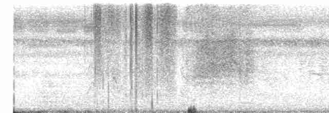 Clamorous Reed Warbler - ML533813531