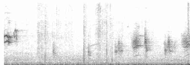 Clamorous Reed Warbler - ML533832851