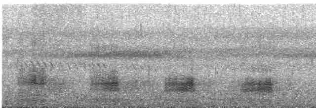 ברווז עקוד-מקור מזרחי - ML533837671