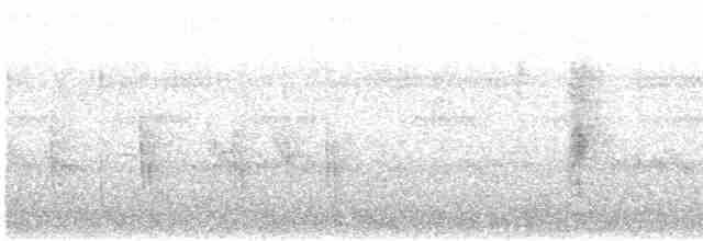 Мышиная нектарница - ML533846721
