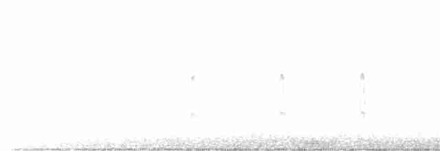 strakapoud velký [skupina major] - ML533854291