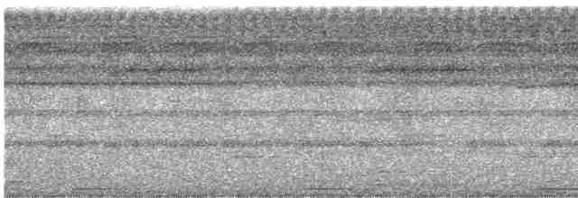 Benekli-Çizgili Barbet - ML533857091