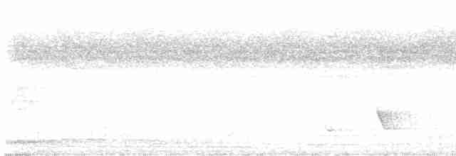 Кораловоклювая воронья кукушка - ML533858971