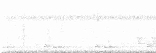Кораловоклювая воронья кукушка - ML533858991