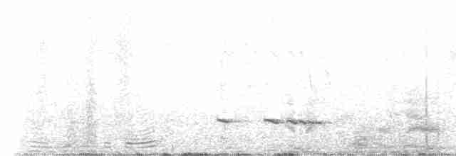 Grallaire d'Équateur - ML533887561