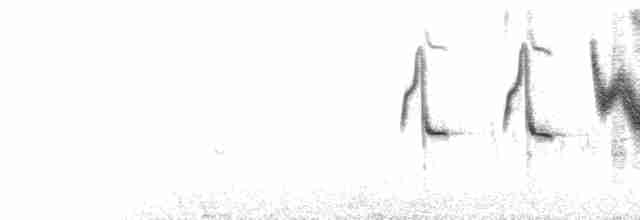  - Long-tailed Meadowlark