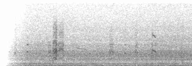 Bar-tailed Godwit - ML533934071