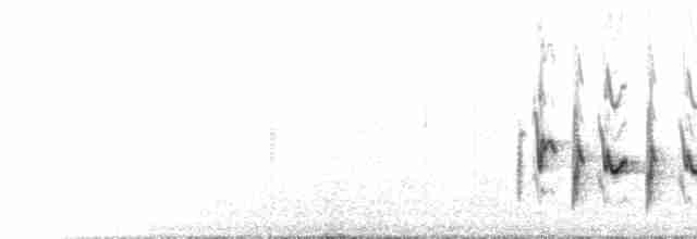 Bulbul à oreillons blancs - ML533935681