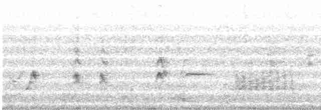 Кривоклювый пересмешник - ML533991701
