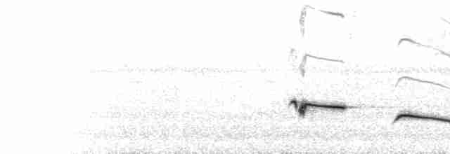  - Epaulet Oriole (Moriche)