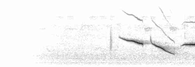  - Variable Oriole (Chestnut-shouldered)