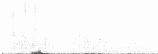 Белогорлый канареечник - ML534073991