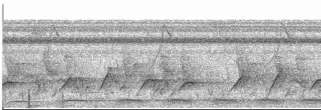Зозуля-довгохвіст гірська - ML534105661