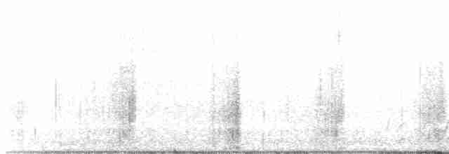 Pileated Woodpecker - ML534194991