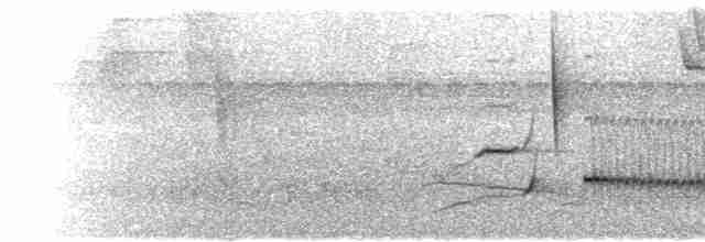  - Bronze-green Euphonia