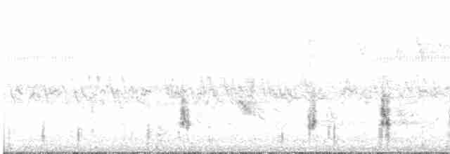 Australian Reed Warbler - ML534242531