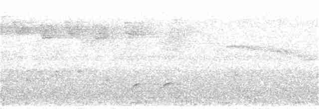 Gray-throated Babbler - ML53424371