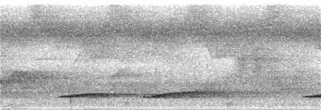 Серый павлиний фазан - ML53427871