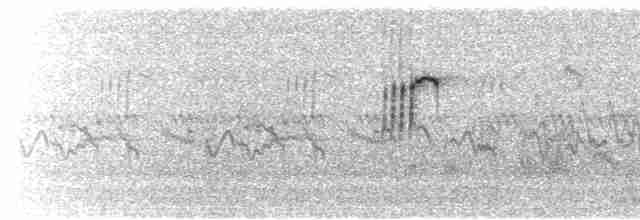  - Turkestan Short-toed Lark