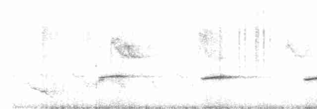 Кустарниковая кукушка (sepulcralis/everetti) - ML534304481