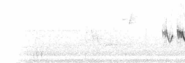lesňáček modropláštíkový - ML534340