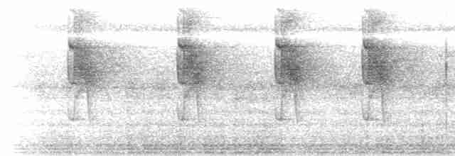 Длинноклювый колибри-отшельник - ML534342281