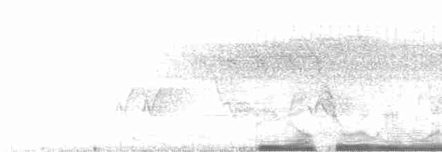 Cerulean Warbler - ML534357
