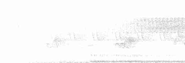 lesňáček modropláštíkový - ML534358