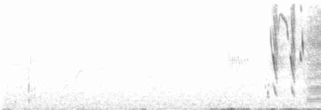 Austral Blackbird - ML534386271